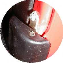 Picture of the month January/February/March 2005