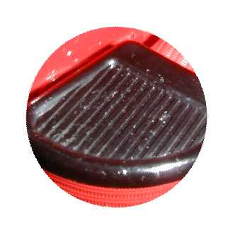 Picture of the month Spring/Summer 2006