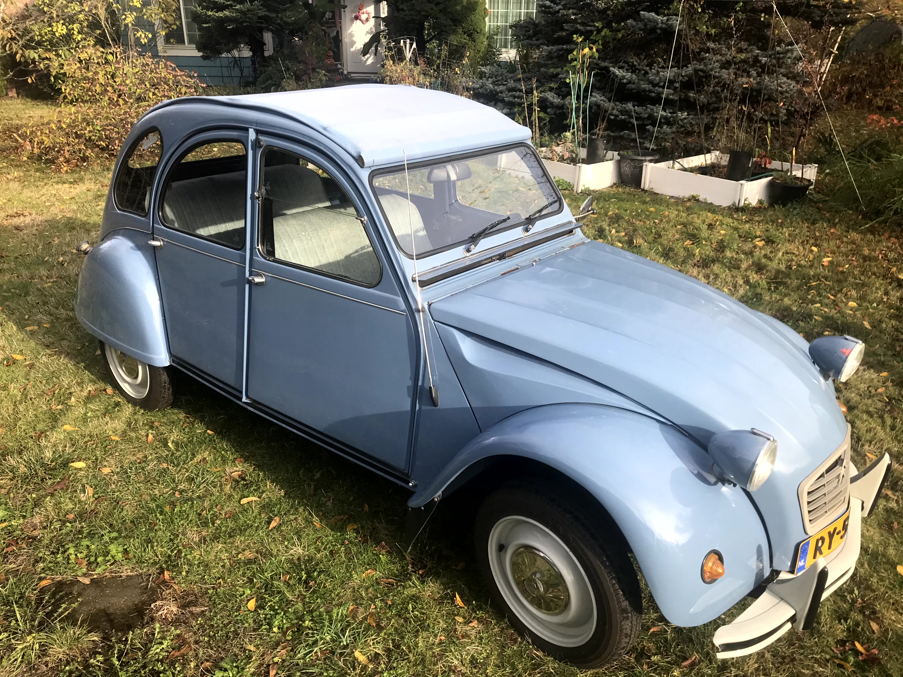 Bleue Celeste Daily Driver 2CV Special